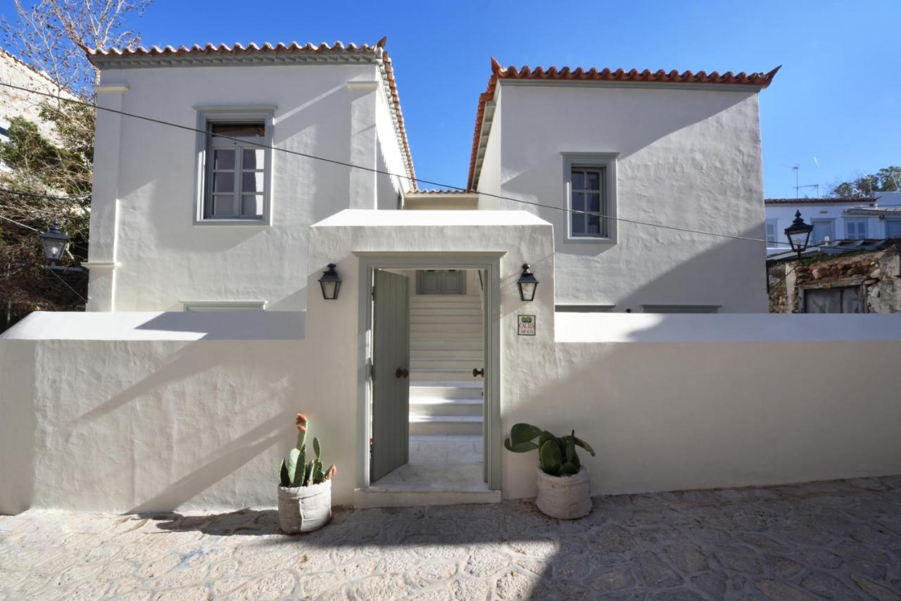 Cactus Hydra - Art Apartments Luaran gambar