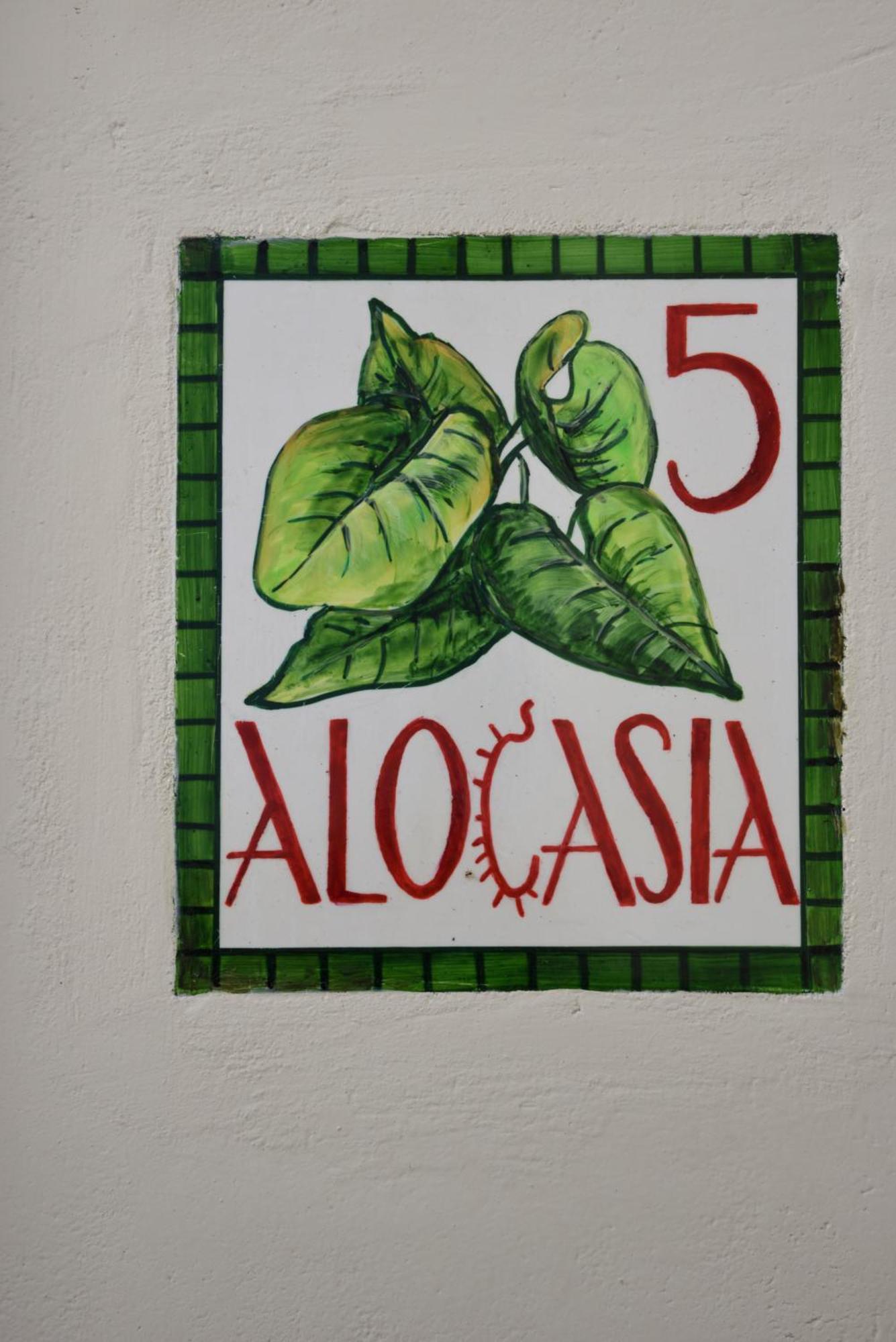 Cactus Hydra - Art Apartments Bilik gambar